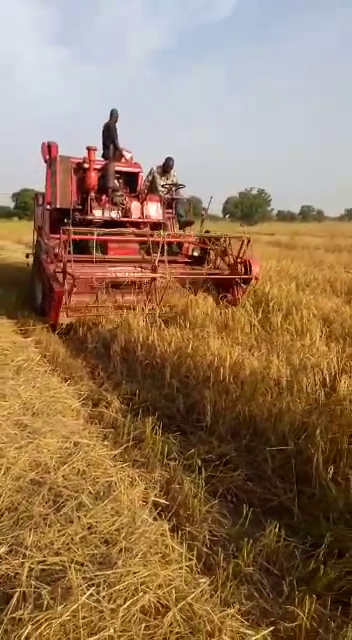 Autobedrijf Koelman maakt zich sterk voor ontwikkelingswerk
